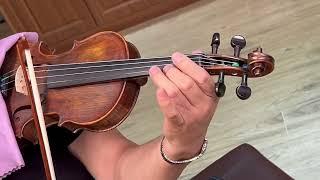 CHRISTINA VIOLIN MUSE 1/2 SIZE SOUND TEST BEGINNERS