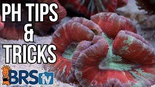 Struggling with Low Reef Tank pH? Fix It Fast!