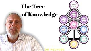 KABBALAH SECRETS: Overcoming the Tree of Knowledge. Getting the Best Out of EVERY Situation.