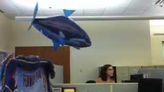 Shark in Cape Cod Times newsroom!