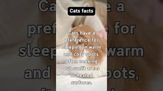 Charming Cat Insights #behavior #pets #delightful