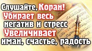  СЛУШАЙТЕ КОРАН - УБИРАЕТ ВЕСЬ НЕГАТИВ И СТРЕСС, УВЕЛИЧИВАЕТ ИМАН, СЧАСТЬЕ.  Красивое чтение корана