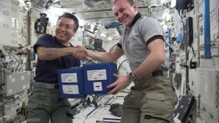 Medaka fish arrived at the International Space Station - Tokyo Tech Research