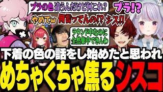 新しいスタンプの話をしたはずが下着の話だと勘違いされ、めちゃくちゃ焦るシスコ【VALORANT/ふらんしすこ/切り抜き】