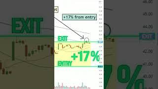 Another Successful Swing Trade in the Books for the AutoMagical Algo System