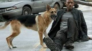 i am legend music theme