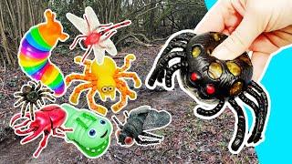 Lots of Bugs Names for Children to Learn | Insects for Kids: Caterpillar Millipede Beetle Snail Fly