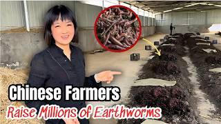 How To Build The World's Largest EARTHWORM Farm in China