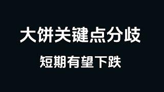 【比特币行情分析】2025.1.5 大饼关键点分歧，短期有回调风险！