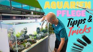 Wöchentliche Aquarienpflege im Detail erklärt | Alle Tricks und Tipps in einem Video