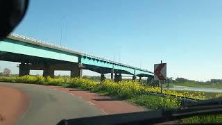 Relaxing car ride through the Dutch landscape green fields and dikes unwind