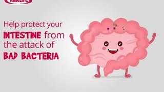 Yakult Helps Intestine from Bad Bacteria Video by RedCube Digital