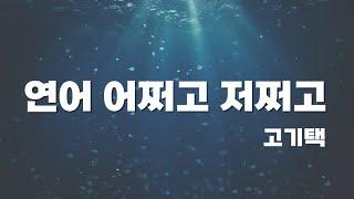 거꾸로 강을 거슬러 오르는 저 힘찬 연어들처럼 - 고기택