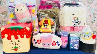 DELITEFUL BOUTIQUE SQUISHY HAUL PACKAGE ibloom Squishies Yummibears Squishies | EV CUTIE PIEE