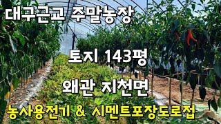 [주말농장매매] 칠곡지천면 토지매매 와룡대교에서6분거리 #대구토지매매 #대구주말농장