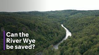 Living by a ‘dying river’ - how pollution has put the Wye into decline