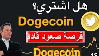 Dogecoin (DOGE) توقع الأسعار 2025-2030: هل ما زال مستثمرو DOGE يعلقون آمالهم على Musk؟