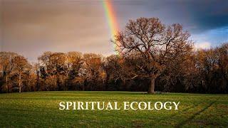 Spiritual Ecology - Llewellyn Vaughan-Lee