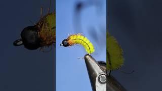 Knuckle Breaker caddis variant