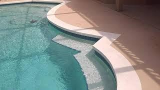 Advanced pool inspection