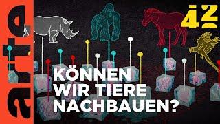 Können wir die Mammuts zurückholen? | 42 - Die Antwort auf fast alles | ARTE