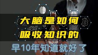 学习思维：大脑是如何吸收知识的？早10年知道就好了