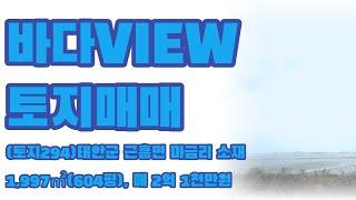 (토지294)태안군 근흥면 마금리 소재, 집에서 바다낚시가능한 토지매매, 매 2억 1,000만원, 1,997㎡(604), 세컨하우스, 별장, 농막주택, 전원주택 건축 강력추천