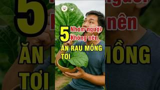 5 Nhóm Người Không Nên Ăn Rau Mồng Tơi – Cẩn Thận Khi Dùng Hàng Ngày | Đức Phương Medical