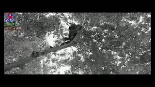 Bird rescuer operation by the rescuers of Punjab emergency services department