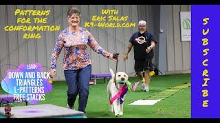 Gaiting patterns and free stacking for dog shows with Eric Salas