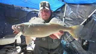 Early Ice 30" Inch Greenback On Frostbite Gear! Kingsland Outfitting