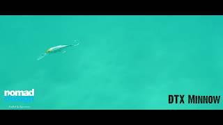 DTX Gen 2 Minnow Trolling Underwater