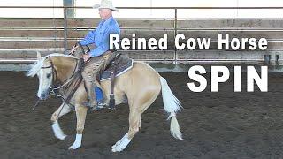 Training For A Reined Cow Horse Spin - Horse Training For A Reining Spin