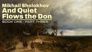 SHOLOKHOV | and quiet flows the don | book one, part three [audio book, unabridged]