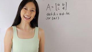 How to determine the determinant of a 2x2 matrix | mathwithjanine