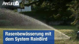 Rasenbewässerung von Pipelife – System RainBird