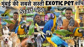 Start ₹150/-|| सबसे सस्ती शॉप || Animals | Birds || cheapest Pet market in Mumbai | Wajid pet shop