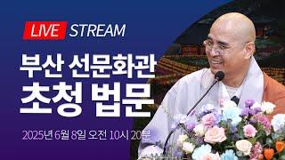 나이 들어서 깨닫는 행복 비법 - 범어사 선문화관 초청법문 생중계