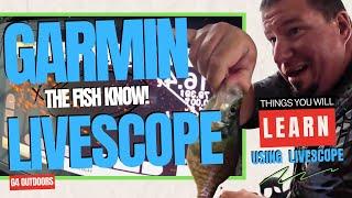 Garmin Livescope Panoptix Fishing | Learning Fish Behavior | Do They Know We're Above Them?