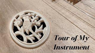 Tour of My Instrument: Liu Qin - Get to Know My Instrument! | Elaine Fang