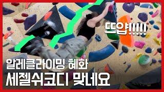 여기가 그 세젤쉬 코디가 있는 알레클라이밍인가요  / 클라이밍 / 볼더링