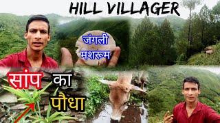 Pahadi vlog | Uttarakhand | Nature beauty | Pahadi lifestyle | Hill villager | pauri garhwal