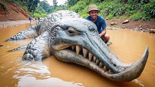 20 Strangest Things Recently Discovered In The Jungles Of Borneo