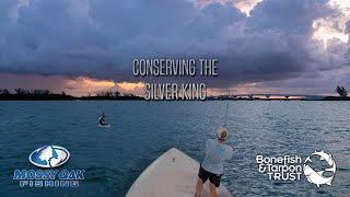 Conserving the Silver King | Bonefish & Tarpon Trust