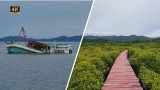 Koh Chang East Coast Tour Mangrove Walkway Red Bridge  Thailand 4K