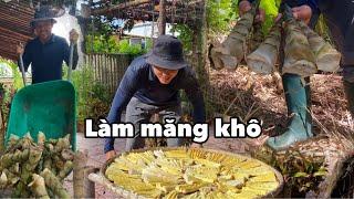 Thu Hoạch Măng Tươi về Làm Măng Khô