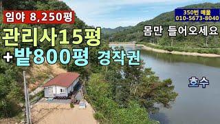 (350번 매물)임야 8,250평,신축 관리사 15평,몸만 들어오면 됩니다,충북 옥천군 청산면 소재,평당2만원에 모두 가져가세요,밭800평 경작권도 있습니다