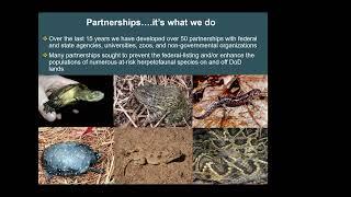 2024 VHS Fall Meeting - Department of Defense Partners in Amphibian and Reptile Conservation Network