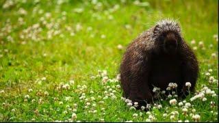 Time to look… Find the sense! Forillon National Park