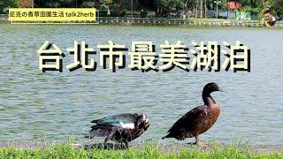 台北市最美的湖泊｜碧湖公園｜Bihu Park